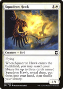 Squadron Hawk (31) (EMA)