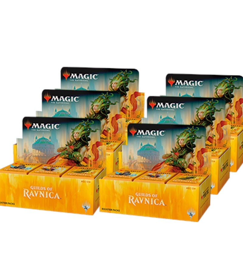 Image for Guilds of Ravnica - Booster Box Case - Magic: The Gathering