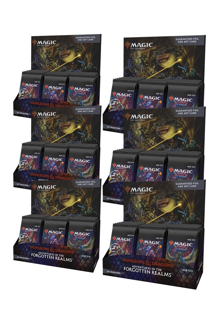 Image for Adventures in the Forgotten Realms - Set Booster Display Case - Magic: The Gathering