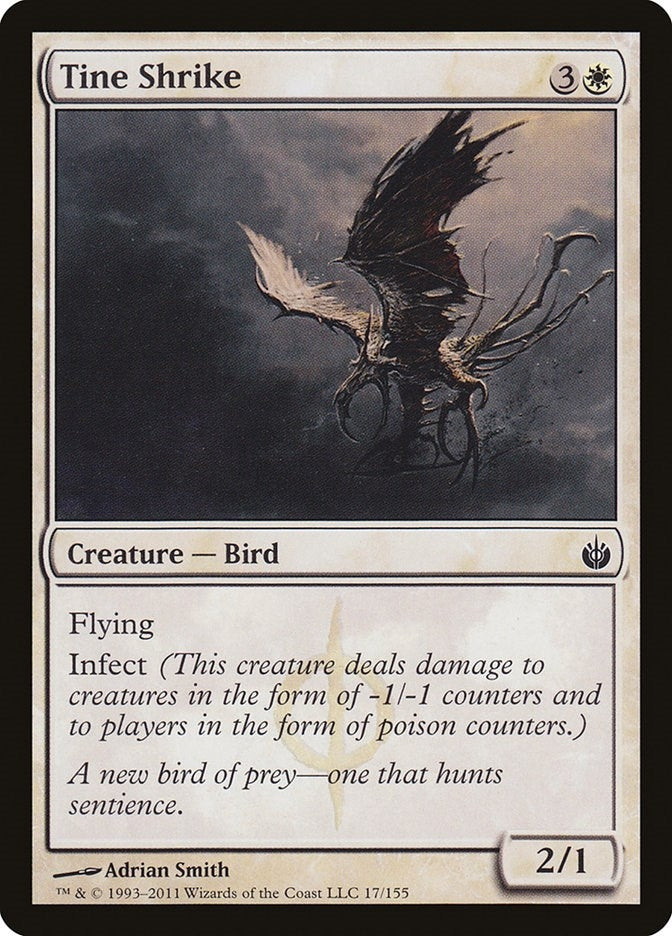 Tine Shrike (17) (MBS)