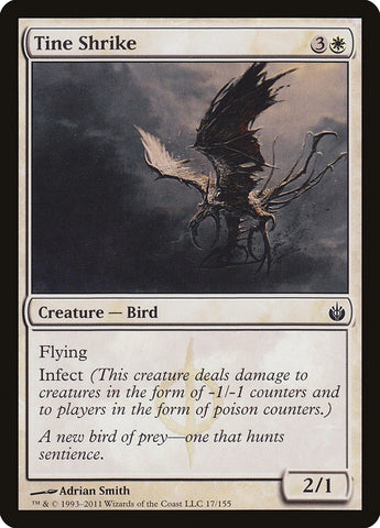 Tine Shrike (17) (MBS)