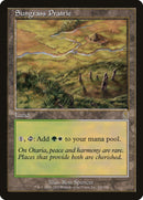 Sungrass Prairie (328) (ODY)